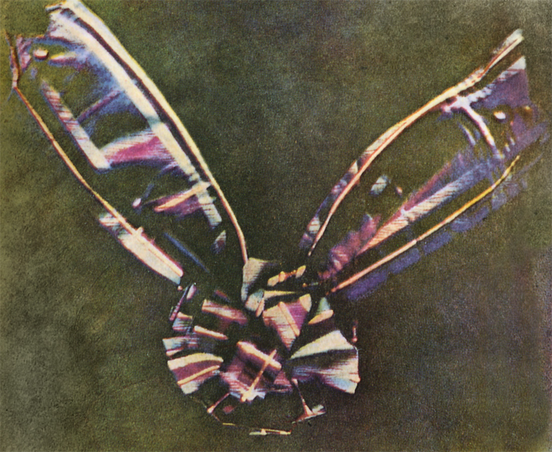 1861 photograph by Thomas Sutton of a tartan ribbon